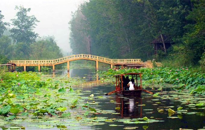 微山湖红河湿地攻略,微山湖红河湿地游船