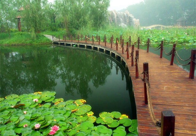 微山湖红荷湿地门票团购,微山湖红荷湿地门票预订