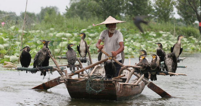 微山湖红荷湿地-微山湖红荷湿地交通攻略概况