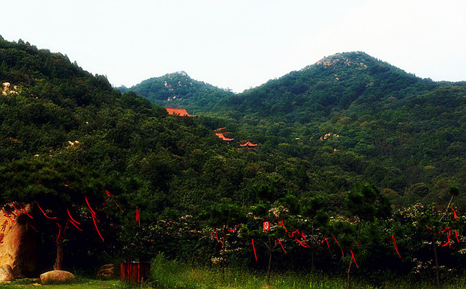 莲青山+微山湖红荷湿地二日游