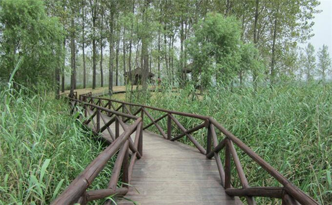 枣庄微山湖红荷湿地旅游门票团购