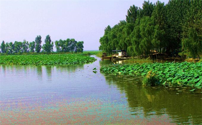 微山湖红荷湿地旅游景点简介