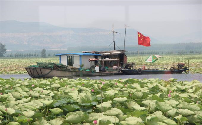 枣庄微山湖红荷湿地二日游自驾