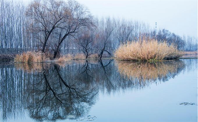 微山湖红荷湿地自驾游团购