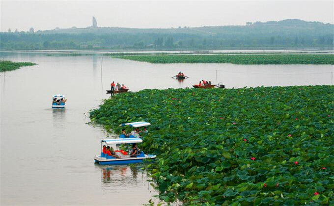 微山湖红荷湿地团购价格