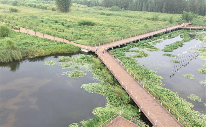 枣庄微山湖红荷湿地两日游自驾