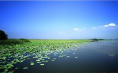 微山湖红荷湿地景区内住宿哪里好