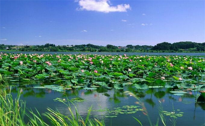 微山湖红荷湿地一天能玩过来吗