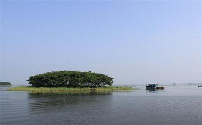 枣庄微山湖红荷湿地2日游团购