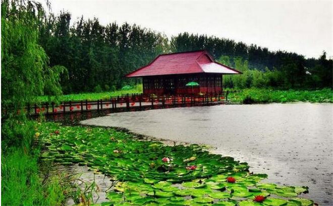  枣庄微山湖红荷湿地附近景点