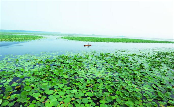 微山湖红荷湿地游览时间及路线