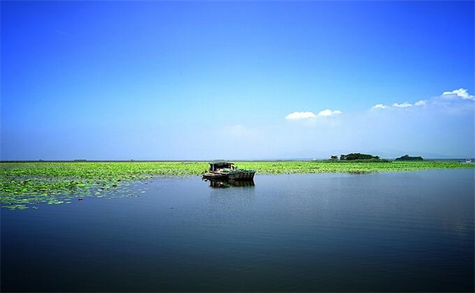 枣庄高铁站怎么到微山湖湿地