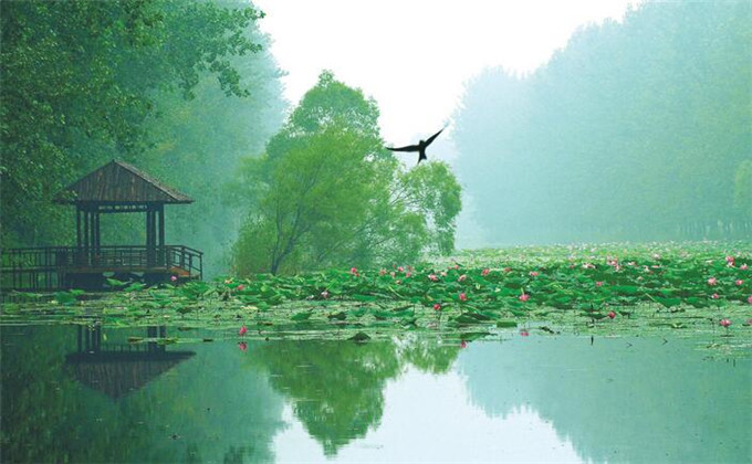 微山湖湿地旅游路线有哪些