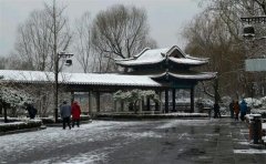 枣庄微山湖湿地一日游多少钱