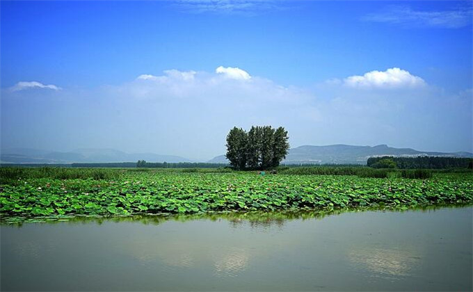 微山湖红荷湿地车能开进去吗