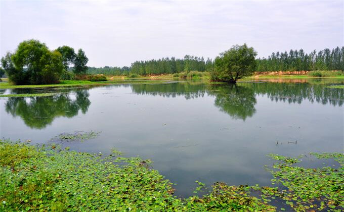 滕州微山湖湿地公园自由行价格